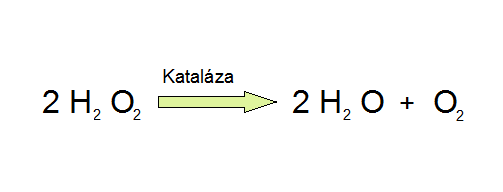 enzymatická neutralizace