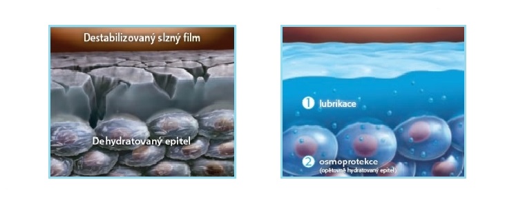 Působení očních kapek Optive