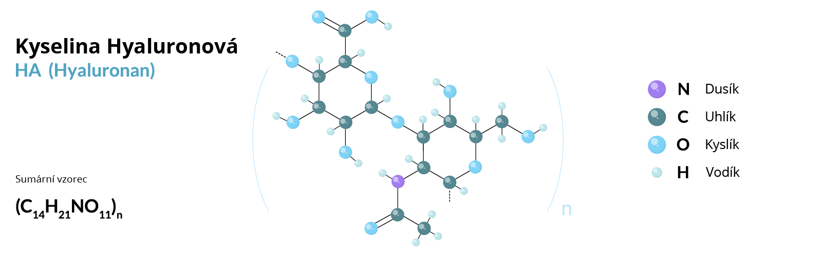 Kyselina hyaluronová - hyaluronát sodný
