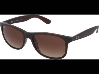 Ray-Ban RB4202 607313