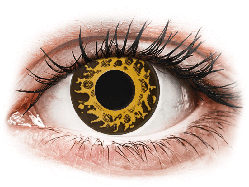 CRAZY LENS - Cheetah - nedioptrické jednodenní (2 čočky) - Barevné kontaktní čočky