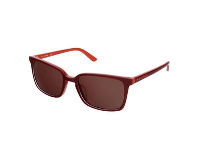Sluneční brýle Calvin Klein CK19504S 604