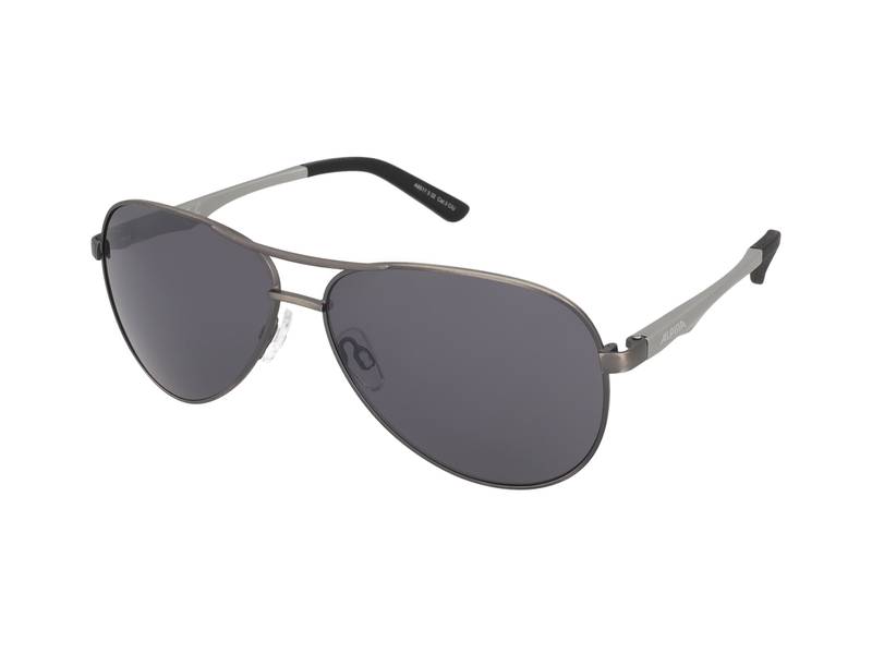 Sluneční brýle Alpina A 107 Titanium Matt/Black Mirror 