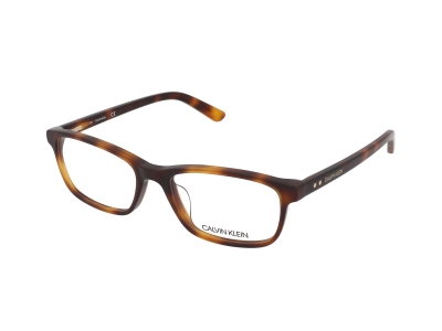 Brýlové obroučky Calvin Klein CK19507 240 