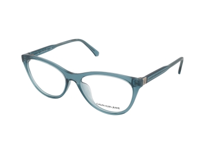 Brýlové obroučky Calvin Klein Jeans CKJ20510 450 