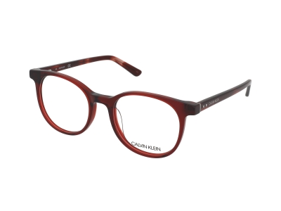 Brýlové obroučky Calvin Klein CK19521 601 